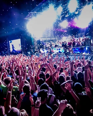 Steve Aoki